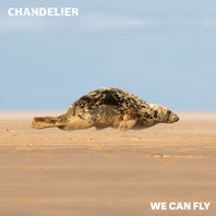 We Can Fly Mp3