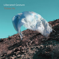 Liberated Gesture Mp3