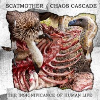 The Insignificance Of Human Life (With Chaos Cascade) Mp3
