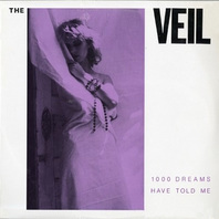 1000 Dreams Have Told Me (Vinyl) Mp3