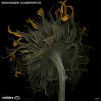 Slumber Wood Mp3