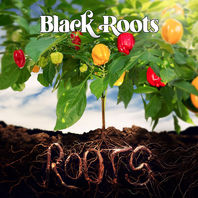 Roots Mp3