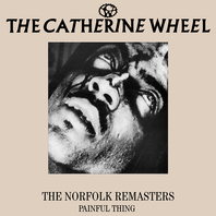 The Norfolk Remasters - Painful Thing Mp3