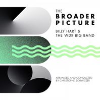 The Broader Picture Mp3