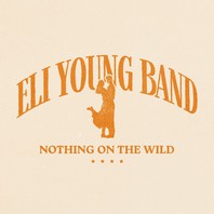 Nothing On The Wild Mp3