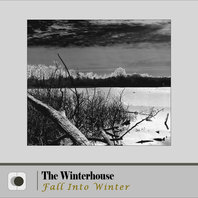 Fall Into Winter Mp3