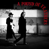 A Pound Of Feathers Mp3