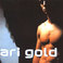 Ari Gold Mp3