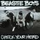 Beastie Boys - Check Your Head (Deluxe Edition 2009) CD1 Mp3