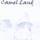Camel Land Mp3