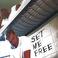 Set Me Free Mp3