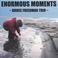 Enormous Moments:Bruce Freedman Trio Mp3