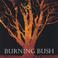 Burning Bush Mp3