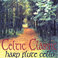 Celtic Classic Mp3