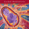 Guided Meditations for Conception and Pregnancy Mp3