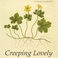 Creeping Lovely - EP Mp3