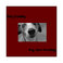 Dogs Know Everything Mp3