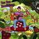 Dan Dan Doodlebug Mp3