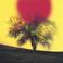 Deeper The Roots Mp3
