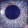 Moontower Mp3