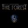 The Forest Mp3