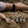 Death In The Park Mp3