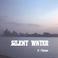 Silent Water Mp3