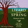 Lizard In The Spring Mp3