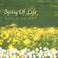 Spring Of Life Mp3