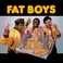 Fat Boys Mp3