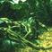 La Selva Mp3