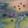Voices in the Wind Mp3