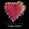 Calico Heart Mp3