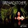 Dreamcatcher Mp3