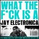 What The Fuck Is A Jay Electronica Mp3