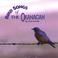 Bird Songs Of The Okanagan Mp3