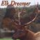 Elk Dreamer - The Healing Medicine of Love Mp3