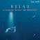 Relax: A Liquid Mind Experience Mp3
