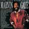 Every Great Motown Hit Of Marvin Gaye Mp3
