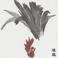 Chabo: 13 Japanese Birds Part 13 Mp3