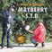 Mayberry STD Mp3