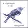 A Nightingale Sings Mp3
