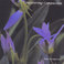 Uncovering Compassion Mp3