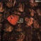 Nine Days Wonder (Vinyl) Mp3