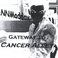 Gateway To Cancer Alley Mp3