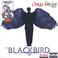 The Blackbird Mp3