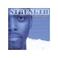 Strength Mp3
