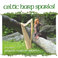 Celtic Harp Sparks! Mp3