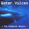 Water Voices -The Humpback Whales Mp3