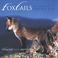 Foxtails:  The Adventures of Freddie Fox Mp3